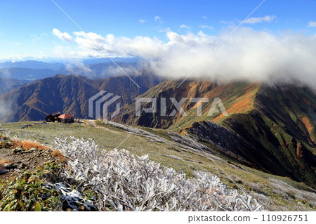 [Fixed price] Mt. Tanigawa Autumn leaves and snow seen from just below the summit 110926751