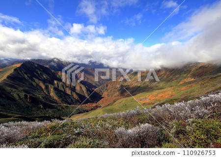 [Fixed price] Mt. Tanigawa Autumn leaves and snow seen from near Toma no Emi 110926753