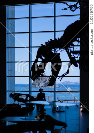A huge dinosaur museum in Nomozaki, Nagasaki 110926796
