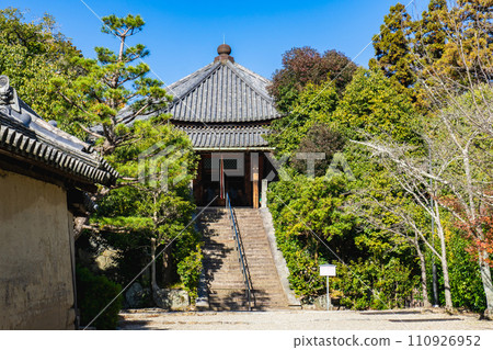 Horyuji Temple Saiendo (National Treasure) Mine no Yakushi in Ikaruga Town, Ikoma District, Nara Prefecture 110926952
