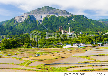 Early summer in Yokose Town, Saitama Prefecture, Terasaka rice terraces and Mt. Buko during rice planting season 110927257