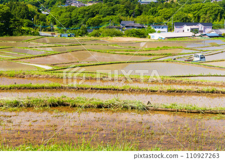 埼玉縣橫瀨町初夏插秧季節的寺坂梯田 埼玉縣橫瀨町初夏插秧季節的寺坂梯田 110927263