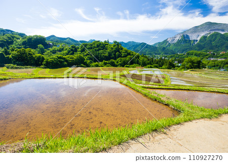 埼玉縣橫瀨町初夏插秧季節的寺坂梯田 110927270