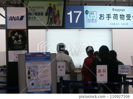 All Nippon Airways All Nippon Airways 110927506