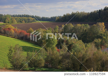 美瑛北海道的風景 110927594