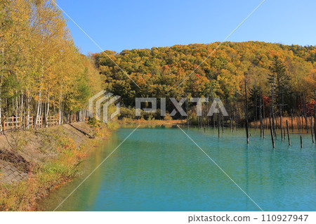 A blue pond surrounded by autumn leaves A blue pond surrounded by autumn leaves 110927947