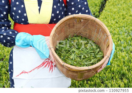 採茶 採茶 110927955