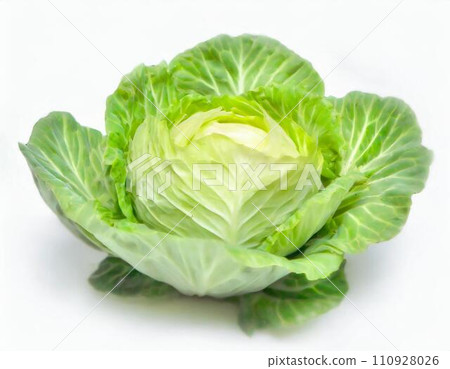 Cabbage "AI generated image" Cabbage "AI generated image" 110928026