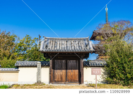Hokiji Temple Nandaimon in Ikaruga Town, Ikoma District, Nara Prefecture Hokiji Temple Nandaimon in Ikaruga Town, Ikoma District, Nara Prefecture 110928999