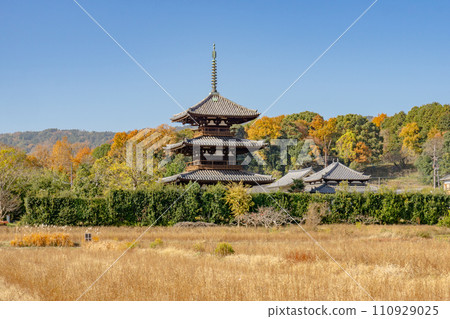 奈良縣生駒郡斑鳩町的法吉祥寺、鄉村和日本最古老的三層寶塔（國寶） 110929025