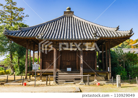 Hokiji Temple in Ikaruga Town, Ikoma District, Nara Prefecture, Shotendo (Kondo Ruins) Hokiji Temple in Ikaruga Town, Ikoma District, Nara Prefecture, Shotendo (Kondo Ruins) 110929049