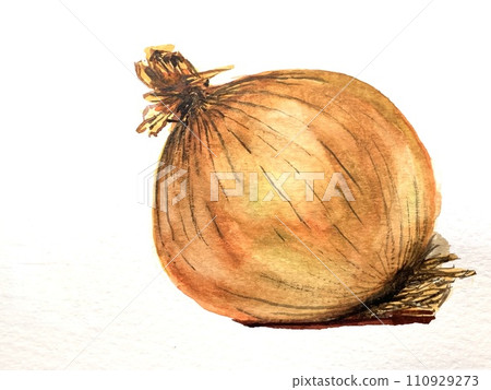 freshly picked onions 110929273