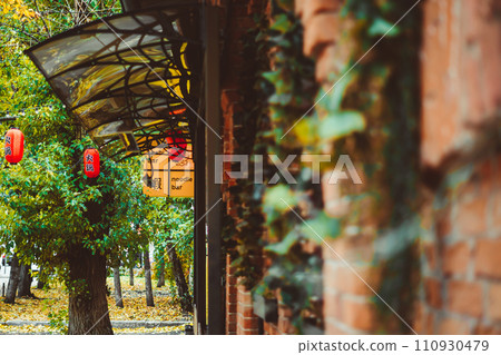 foliage on a brick building 110930479