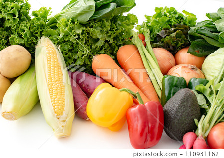 蔬菜採集農產品 110931162