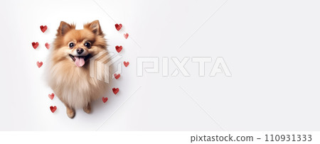 AI-generated content. Happy cute small dog with red hearts on white background celebrating Valentine day. Valentine's day, birthday, mother's, women's day, holidays concept. 110931333