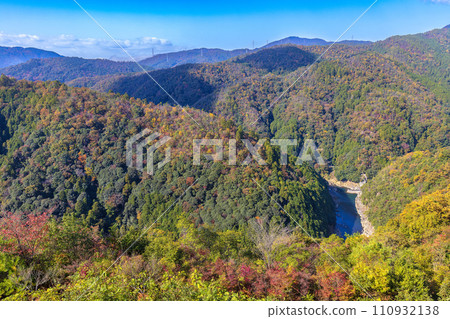 京都高雄大道的秋葉（11 月，晴天） 110932138