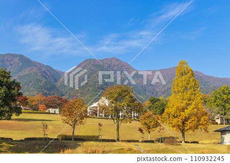 命運反轉之地養老的秋葉（11月） 110932245