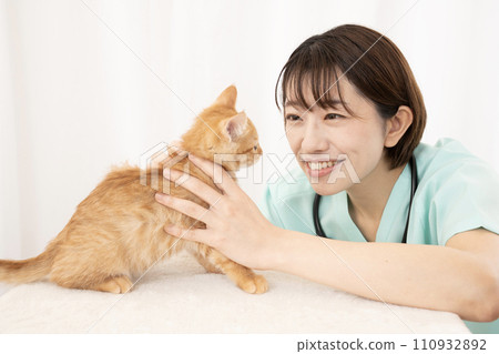 A female veterinarian examines a kitten with a smile A female veterinarian examines a kitten with a smile 110932892