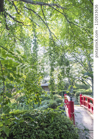 Fresh green walking path (Utsubuki Park) 110933636