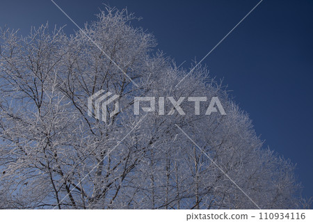 Morning of the fog ice 110934116