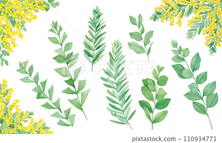 Set of three types of mimosa leaves and corner decorations 110934771
