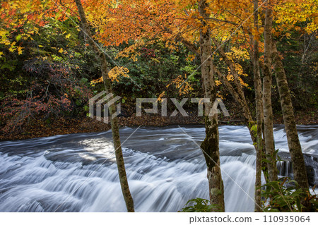 惠庭溪谷的秋葉 惠庭溪谷的秋葉 110935064
