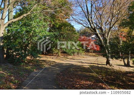 Minamishitsu Park 110935082