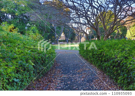 南越公園 110935093