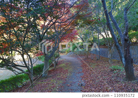 南越公園 110935172