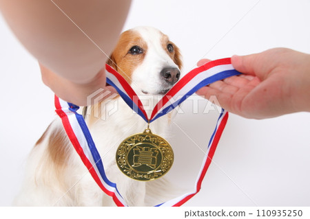 Koikerkhondje 獲得金牌 110935250