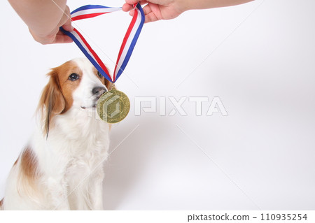 Koikerkhondje 獲得金牌 110935254