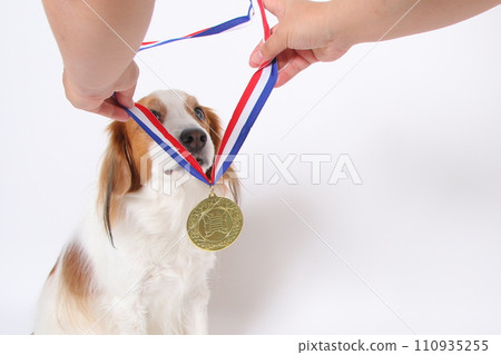 Koikerkhondje 獲得金牌 110935255