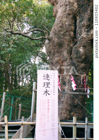 城山八幡宮(參拜三座愛情神社)連力4 城山八幡宮(參拜三座愛情神社)連力4 110935402