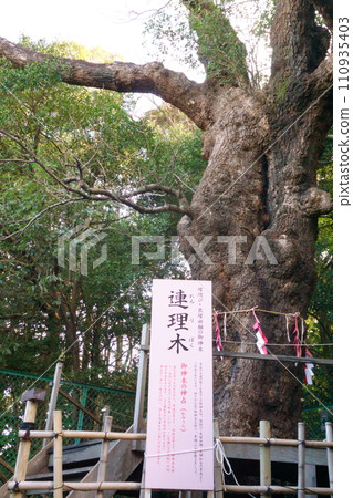 城山八幡宮（參拜三座愛情神社）連力3 110935403