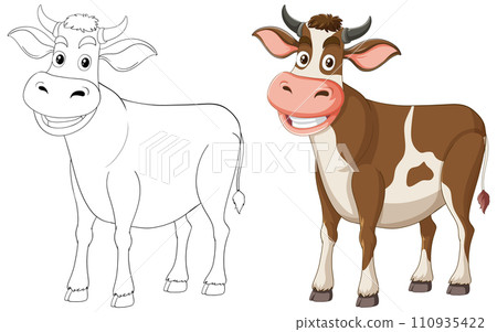 From Sketch to Colorful Cartoon Cow From Sketch to Colorful Cartoon Cow 110935422