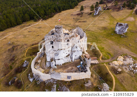Remains of Mirow Castle 110935829