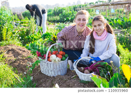 Portrait of a young woman with a teenage girl in the vegetable garden with a basket of crops Portrait of a young woman with a teenage girl in the vegetable garden with a basket of crops 110935960