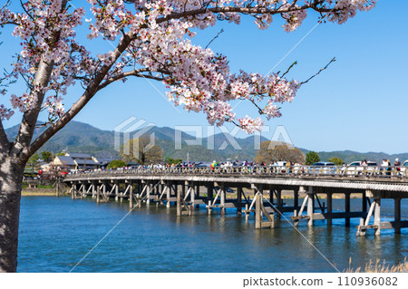 Arashiyama cherry blossoms in full bloom, Togetsukyo Bridge, Kyoto Arashiyama cherry blossoms in full bloom, Togetsukyo Bridge, Kyoto 110936082