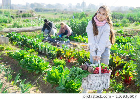 Teenage farmer girl posing with gathered vegetables 110936607
