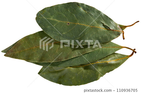 Image of bay leaves Image of bay leaves 110936705