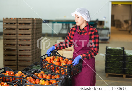 Vegetable warehouse worker stacks boxes of ripe tomatoes Vegetable warehouse worker stacks boxes of ripe tomatoes 110936981