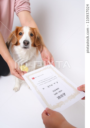 Koikerkhondier sits between the arms of his owner as he receives his award certificate. 110937024