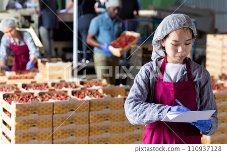 Manager writes down results of checking sorting of ripe cherries in notebook Manager writes down results of checking sorting of ripe cherries in notebook 110937128