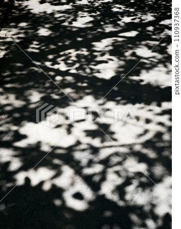 樹的陰影在地面上反射了 樹的陰影在地面上反射了 110937368