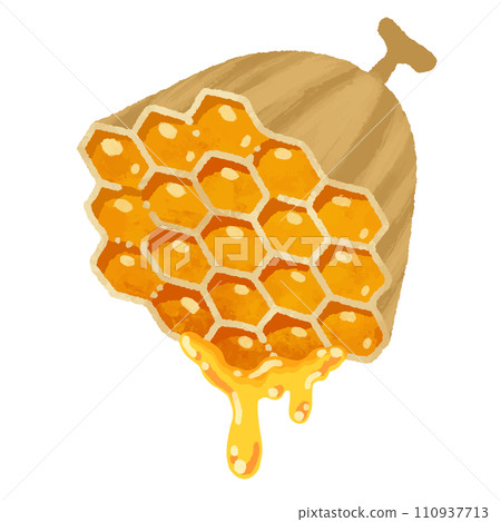 水彩風格的蜂巢滴蜂蜜的插圖 110937713