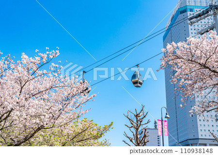 [神奈川縣]盛開的櫻花和城市索道 110938148
