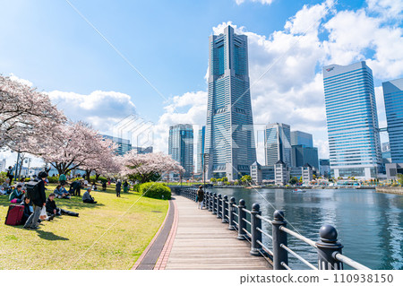 [神奈川縣]盛開的櫻花和橫濱地標塔 110938150