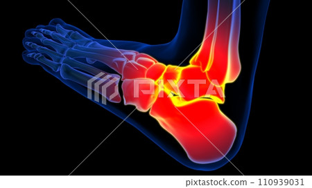 Ankle joint pain anatomy for medical concept 3D rendering Ankle joint pain anatomy for medical concept 3D rendering 110939031