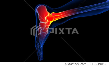 Ankle joint pain anatomy for medical concept 3D rendering Ankle joint pain anatomy for medical concept 3D rendering 110939032