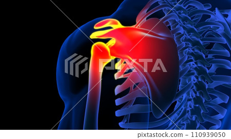 Scapula bone pain anatomy for medical concept 3D rendering Scapula bone pain anatomy for medical concept 3D rendering 110939050